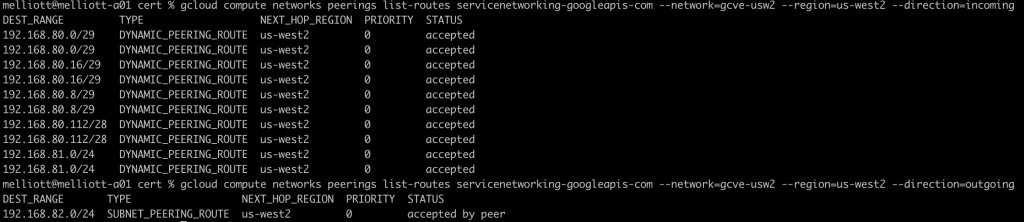 Verifying routes with the gcloud cli