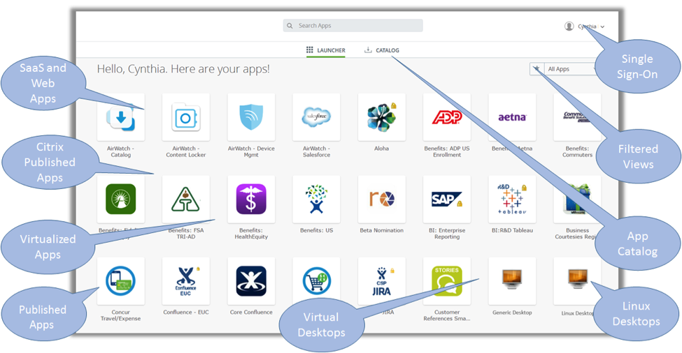 VMware Identity Manager capabilities