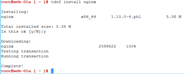 install-nginx