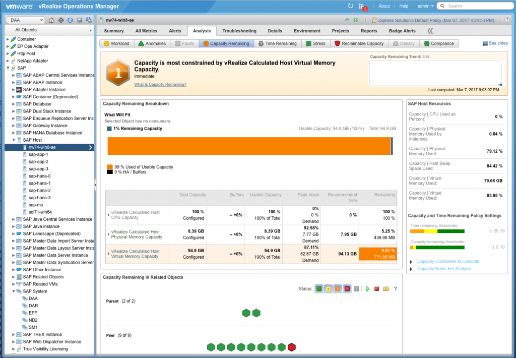 Capacity badge for SAP in Blue Medora's Management Pack