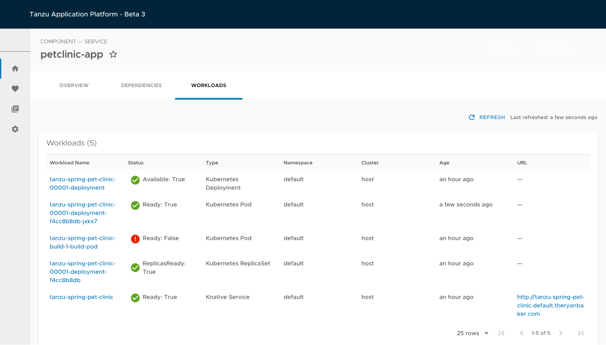 A view of the Tanzu Application Platform workload visibility plugin