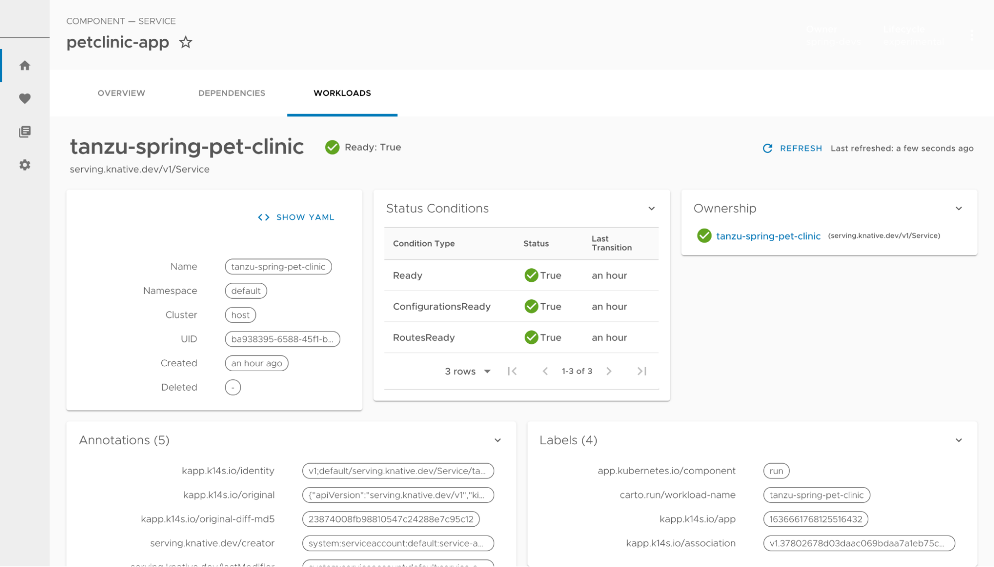 Workload details shown in the Tanzu Application Platform workload visibility plugin