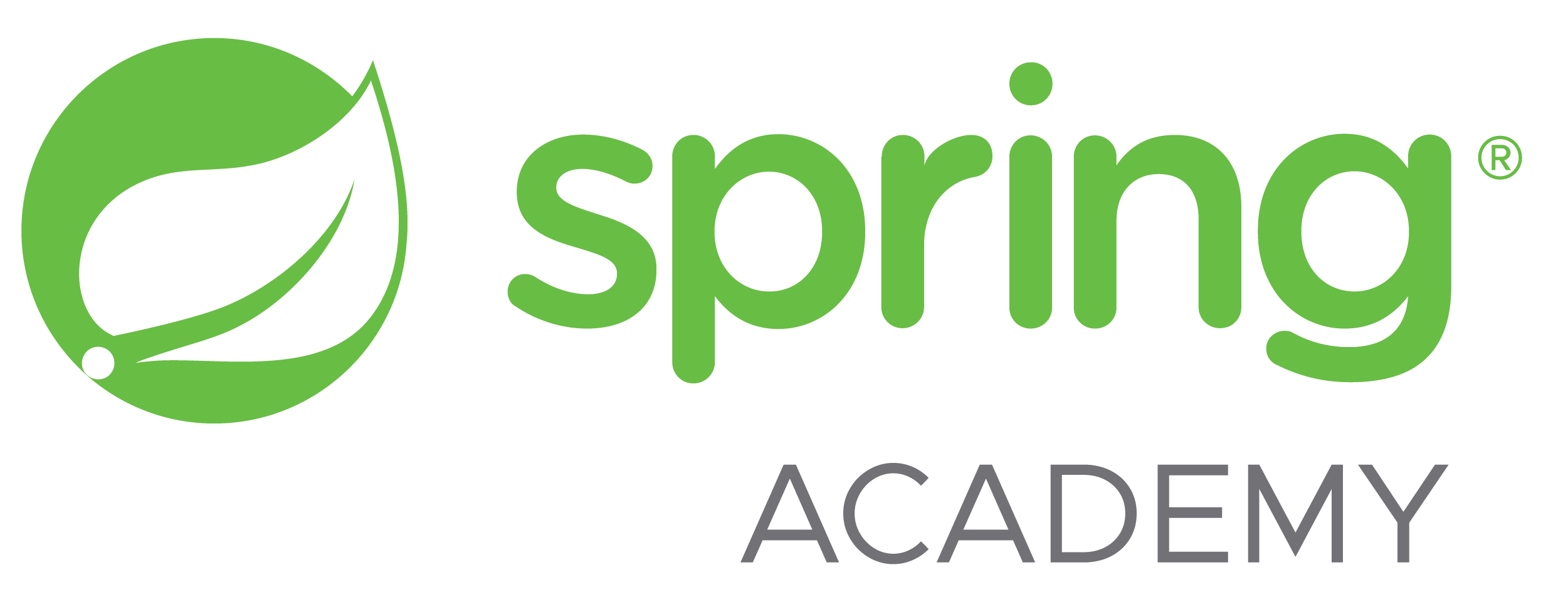 Spring Academy logo