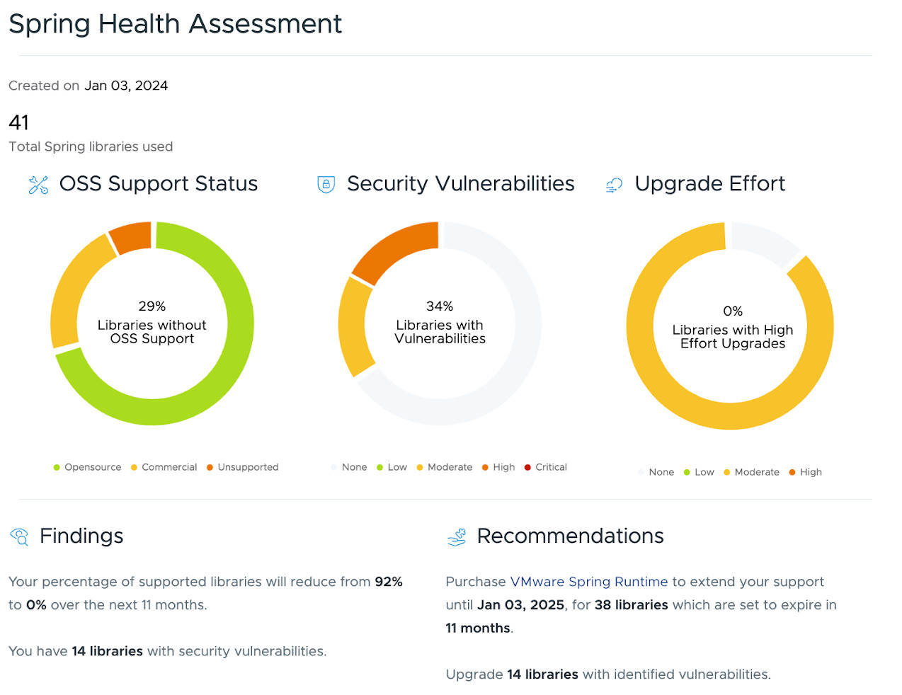 Screenshot of overview report produced by Spring Health Assessment