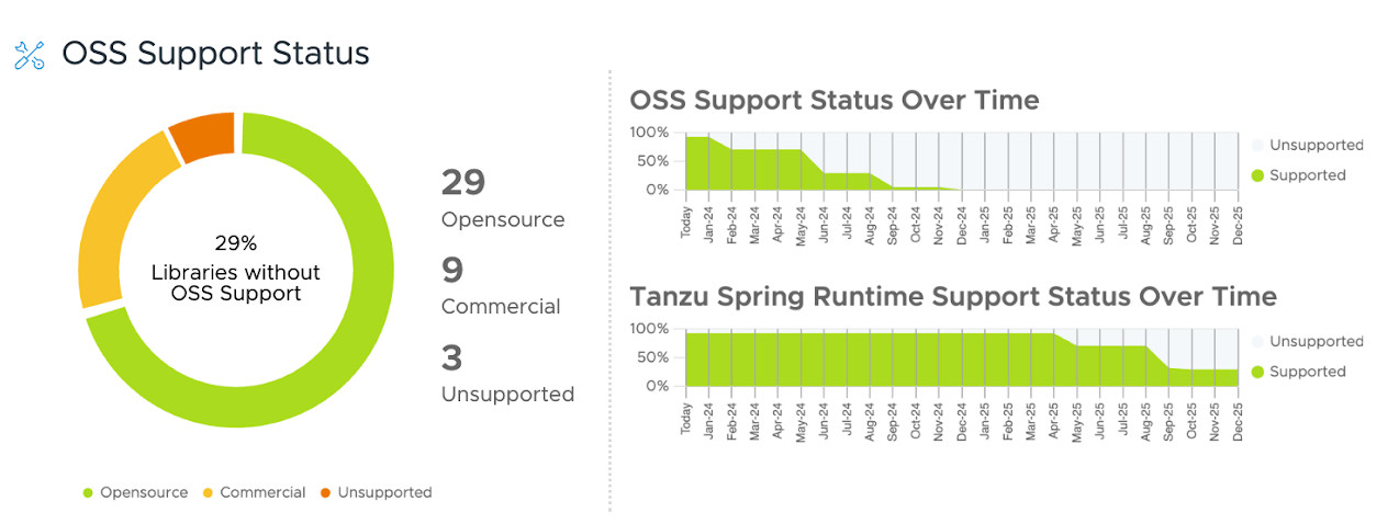 Screenshot of open source support analysis created by Spring Health Assessment