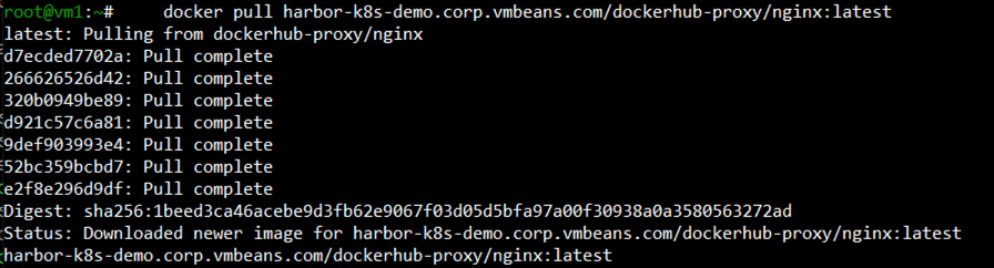 Using Harbor as a Proxy Cache for Cloud-Based Registries