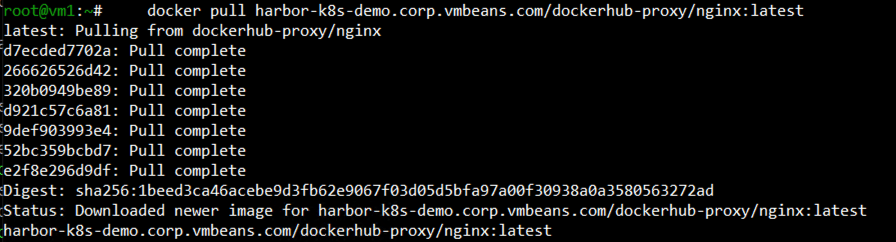 Using Harbor as a Proxy Cache for Cloud-Based Registries
