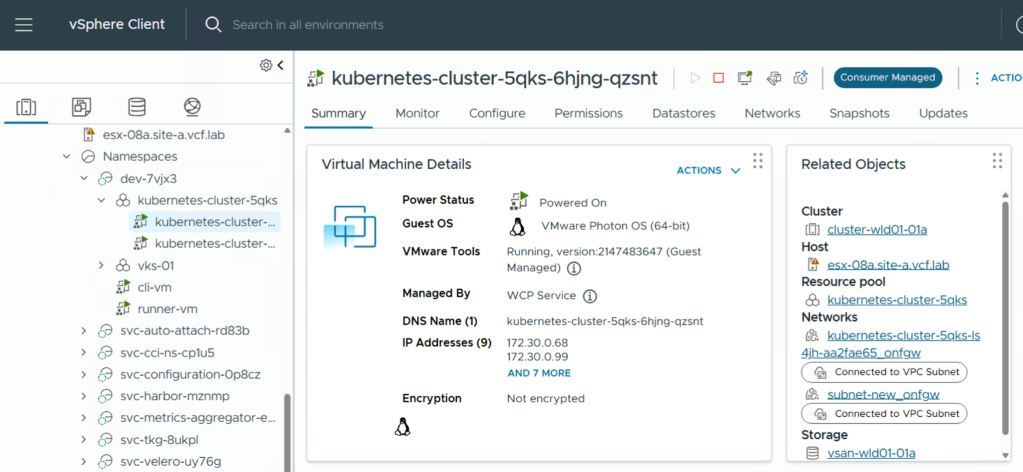 vSphere view confirming VKS multi-network configuration