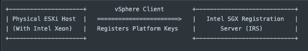 Simplified ESX registration with Intel SGX schema. 