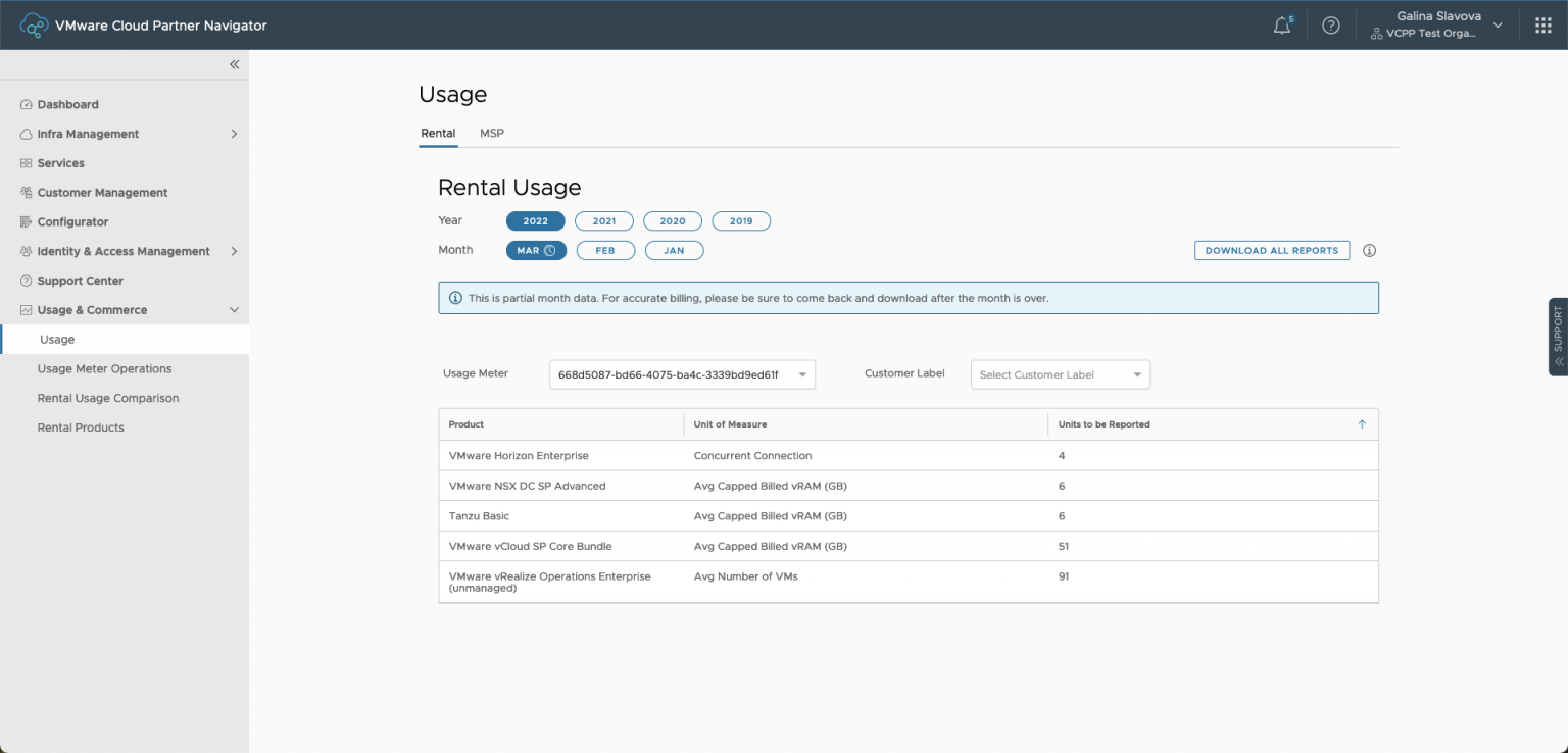 Understanding vCloud Usage Reports