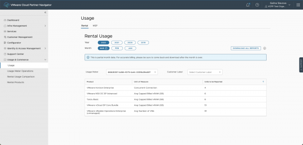 Understanding vCloud Usage Reports