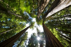 criterios ESG en el punto de mira