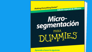 Microsegmentation para Dummies