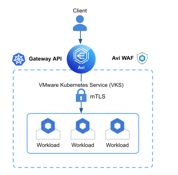 Avi WAF and mTLS Overview