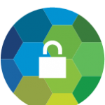 network security icon