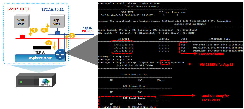 Vmware Routing NSX-T: Routing where you need it (multi-hypervisor & multi-cloud)