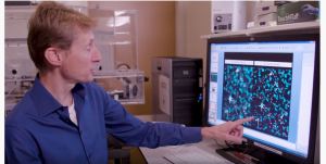 Nederlands Kanker Instituut: ‘VDI by day, Compute by Night’