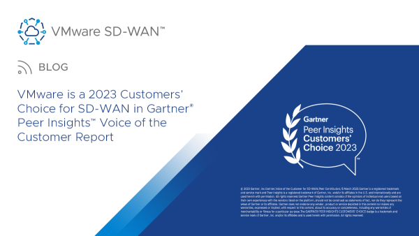 SD-WAN Client Windows