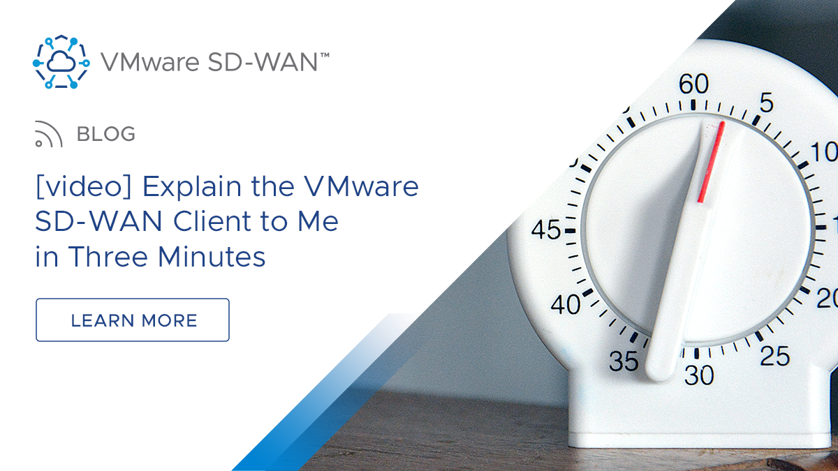 Explain the VMware SD WAN Client