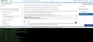 SD-WAN Client Linux
