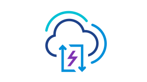 Cloud Disaster Recovery