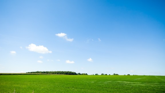 fresh green grass with bright blue sky background