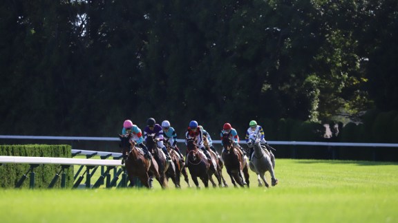 日本中央競馬会様 VCF導入事例