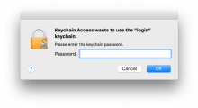 The traditional way of logging on to a Mac which caused numerous problems