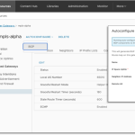VMware Cloud Foundation Automation -Infrastructure Resource Policy Overview
