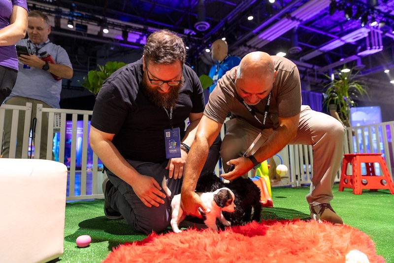 Attendees playing with puppies at VMware Explore 2025 in Las Vegas.