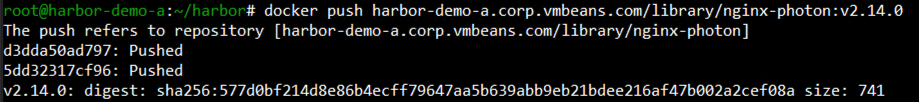docker push for harbor