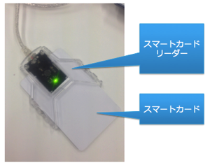 確認カード 確認用 確認用 確認用 確認用 ホンダ 純正部品 HONDA ライブディオ